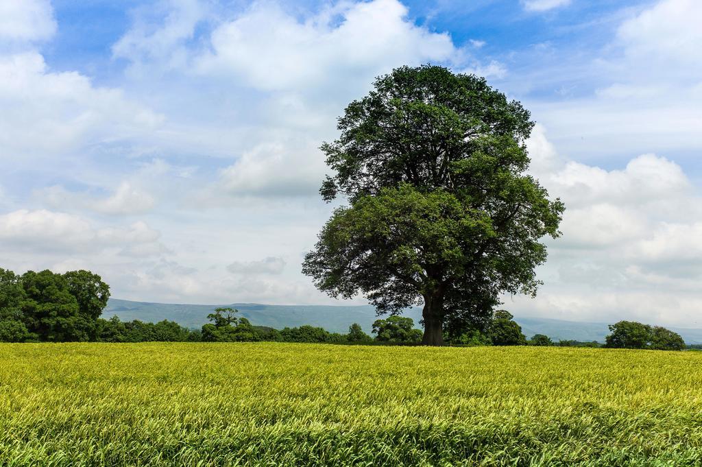 Edenhall Country Hotel Ngoại thất bức ảnh
